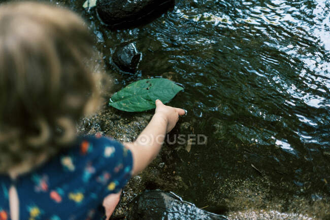 Petite fille de deux ans mettant des feuilles dans une rivière — Photo de stock