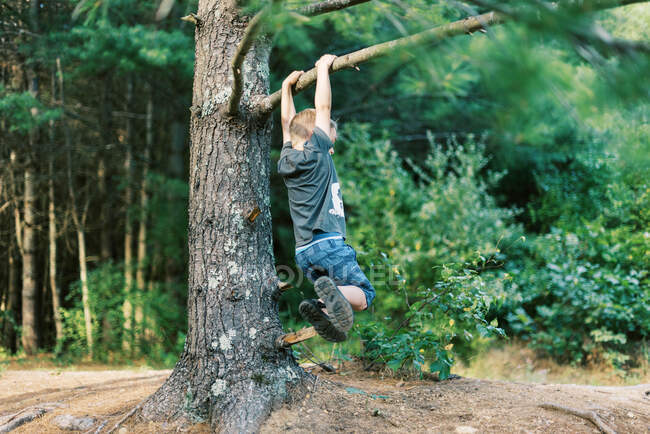 Un bambino di cinque anni che dondola da un pino nel bosco — Foto stock
