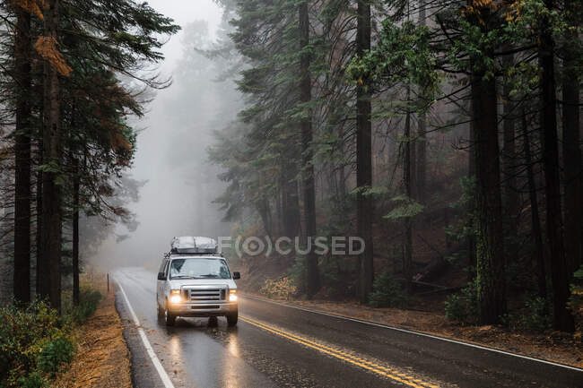 O carro na estrada na floresta — Fotografia de Stock