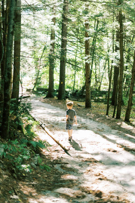 Little boy walking through the woods surrounded by dappled sunshine — Stock Photo