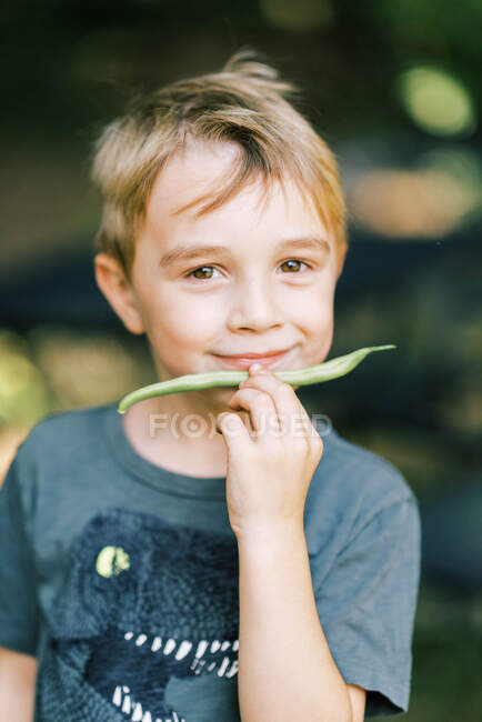 Мальчик, притворяющийся длинным зеленым бобом, был его бородой. — стоковое фото