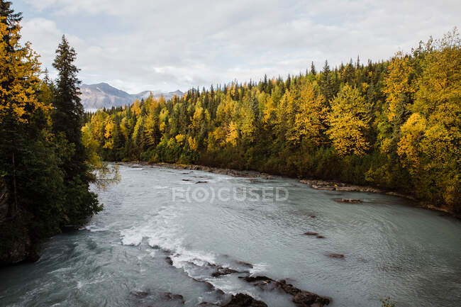 Wunderschöne Landschaft mit Fluss und Wald — Stockfoto