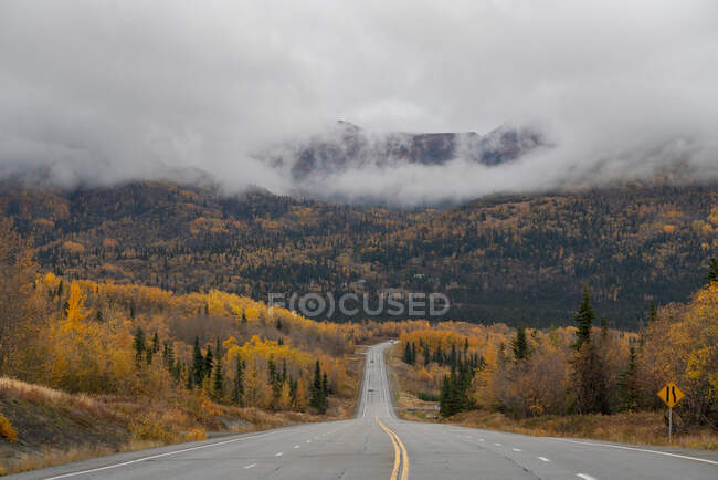 Paysage d'automne avec route et arbres — Photo de stock
