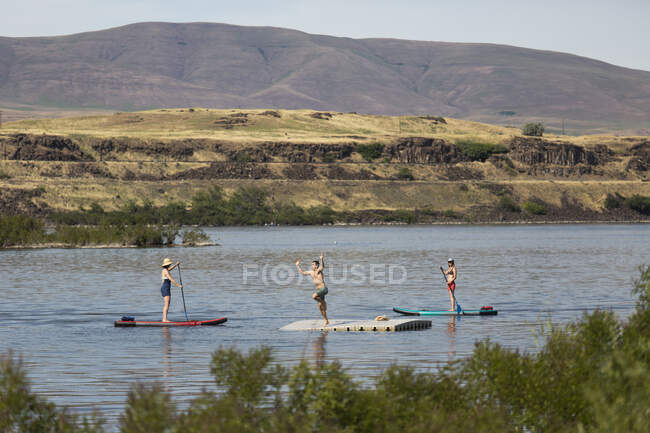 Dois amigos assistem um jovem pular de uma doca no rio Columbia. — Fotografia de Stock