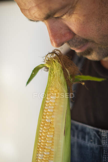Homem cheirando milho de perto — Fotografia de Stock