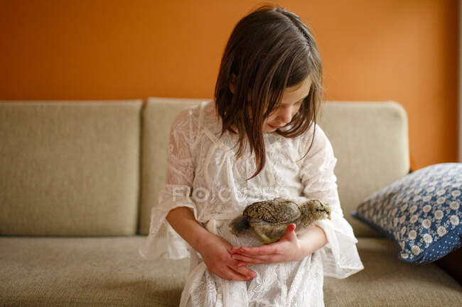 Cute little child holding small baby chick in hands — Stock Photo