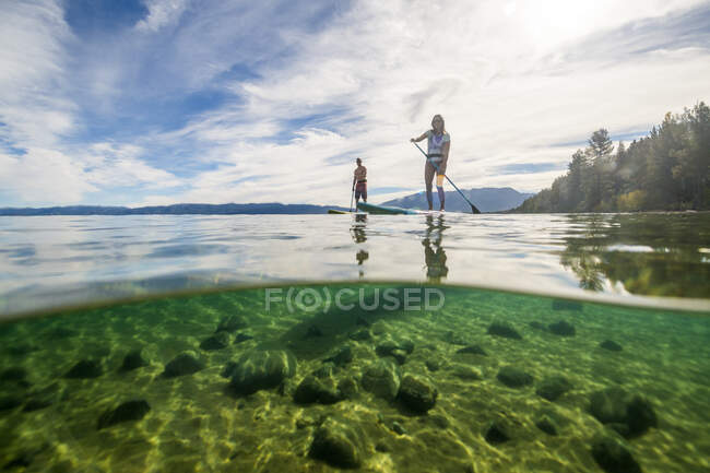 Um homem e uma mulher levantam-se a bordo de remo no Lago Tahoe, CA — Fotografia de Stock