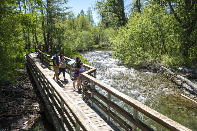 Una familia cruza un puente sobre Taylor Creek en un día de verano en South Lake Tahoe, California. - foto de stock