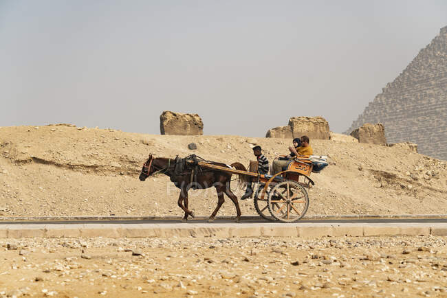 Un caballo y un buggy viajan con los pasajeros en la carretera en Giza - foto de stock