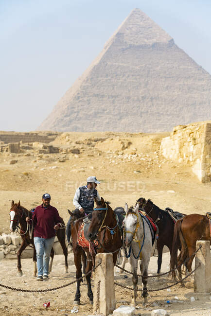 Um grupo de homens e cavalos em frente à Pirâmide de Gizé — Fotografia de Stock