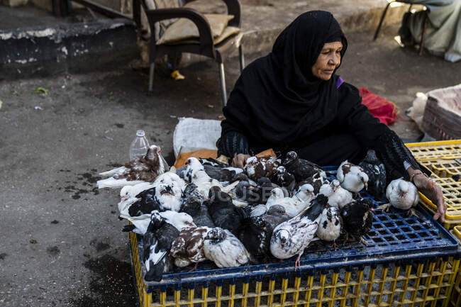 Una mujer egipcia vende palomas para comer - foto de stock