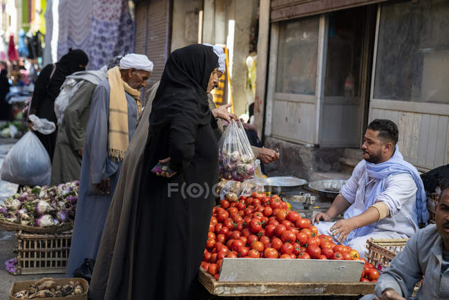 Mujer compra tomates en un mercado al aire libre - foto de stock