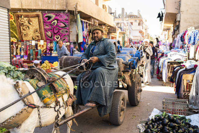 Egyptian man drives horse cart through open market — Stock Photo