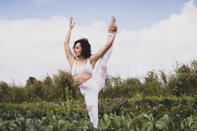 Mujer flexible practica yoga en un campo - foto de stock
