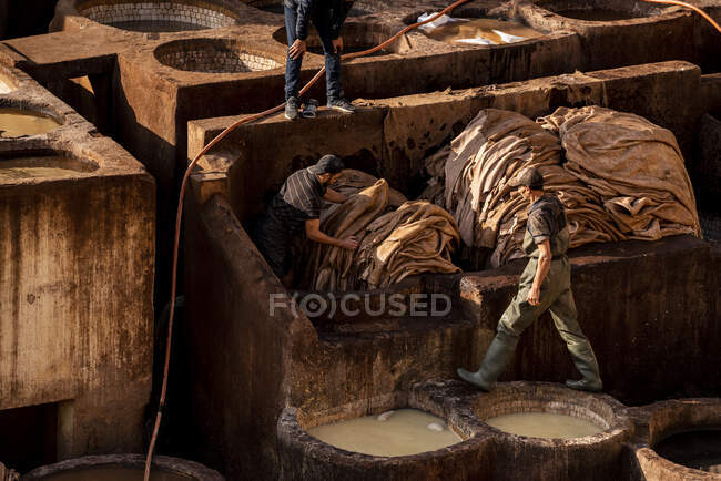 Moroccan workers dye leather in fez tannery — Stock Photo