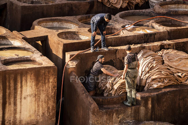 Männer bei der Lederverarbeitung in der Fez-Gerberei in Marokko — Stockfoto
