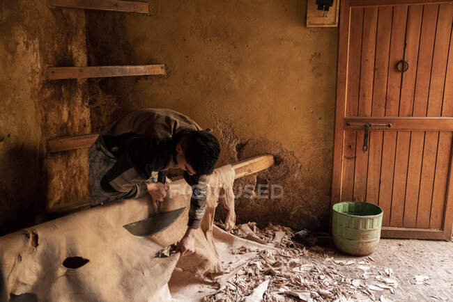 Человек соскребает волосы с сырой верблюжьей шкуры в Фезе, Марокко — стоковое фото