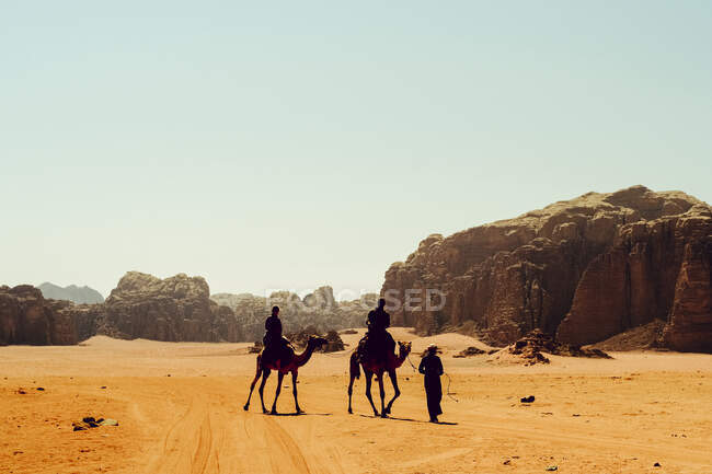 Turistas montam camelos com um guia beduíno em Wadi Rum, Jordânia — Fotografia de Stock