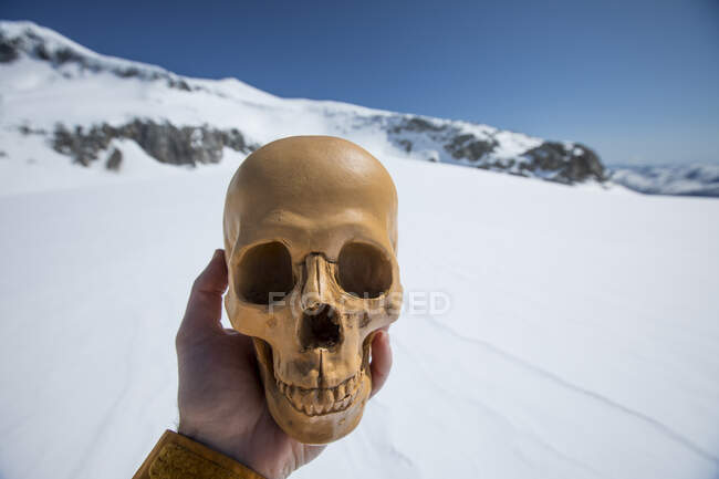 Man holds human skull, artifact in winter landscape. — Stock Photo