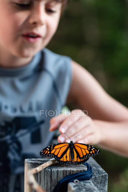 Молодий хлопець дивиться на монарха метелика, який спирається на поручні палуби . — стокове фото