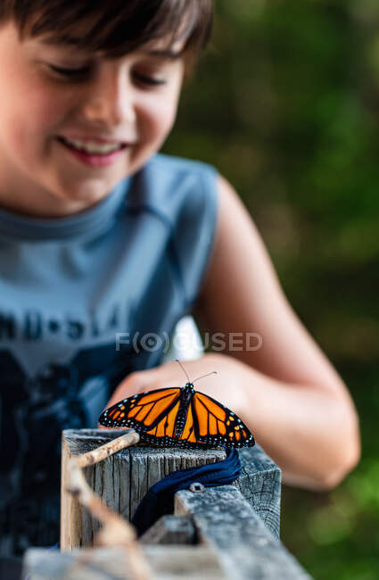 Мальчик смотрит на бабочку-монарха, лежащую на перилах палубы. — стоковое фото