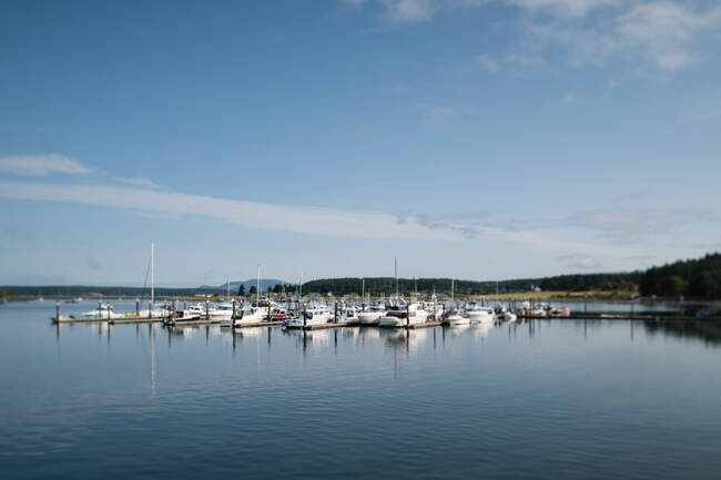 Парусники причалили к гавани на острове Лопес, штат Вашингтон, под голубым небом — стоковое фото