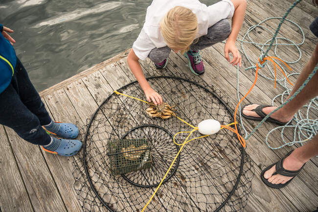 Jeune fille inspecte le crabe dans un piège à crabe circulaire sur un quai en bois — Photo de stock
