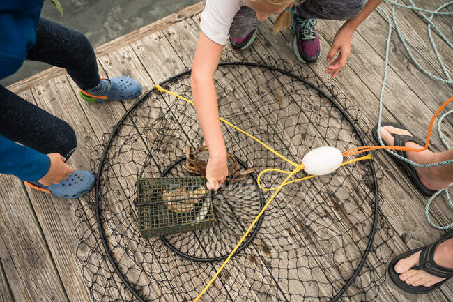 Circular crab trap on wooden dock surrounded by hands and feet — Stock Photo