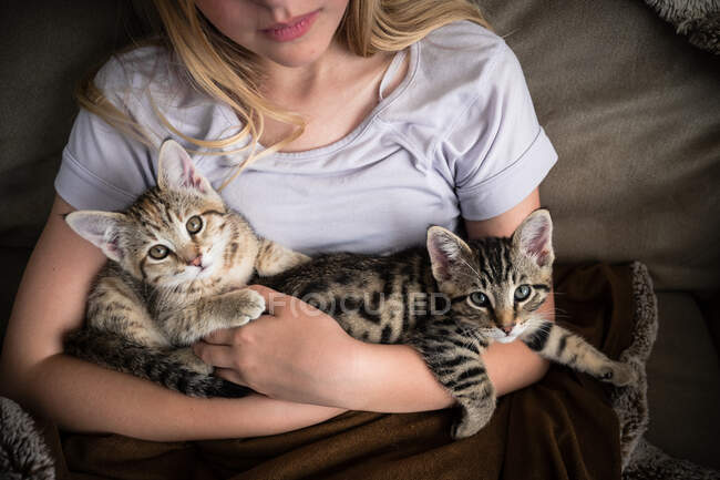 Chica joven con camisa de lavanda sosteniendo dos gatitos pequeños en sus brazos - foto de stock
