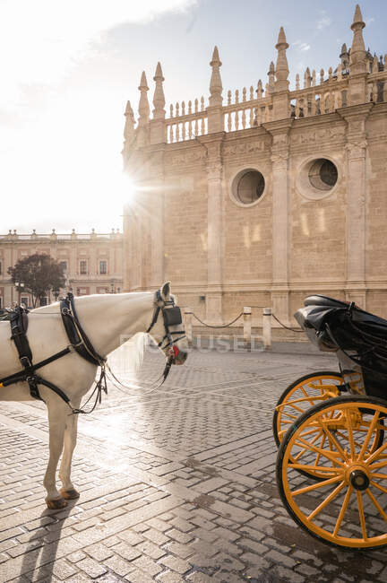 Pferdekutschen warten mit dem Alcazar von Sevilla im Hintergrund — Stockfoto