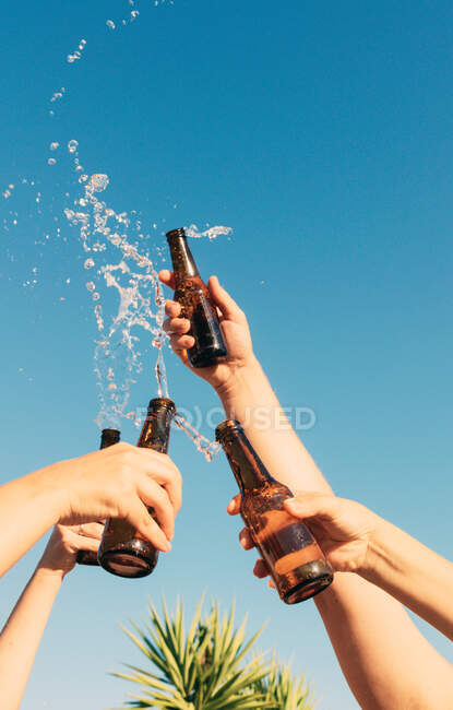 Tiro vertical de personas levantando y lanzando botella mostrando de celebración - foto de stock
