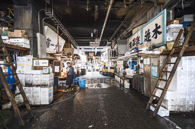 Callejón en el tradicional mercado de pescado Tsukiji en Tokio / Japón - foto de stock