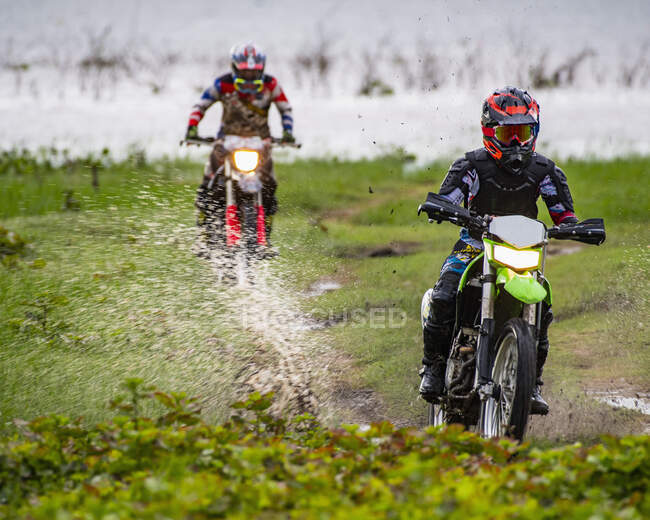Друзья ездят на грязных мотоциклах по водно-болотным угодьям недалеко от Пак Чонга / Таиланд — стоковое фото