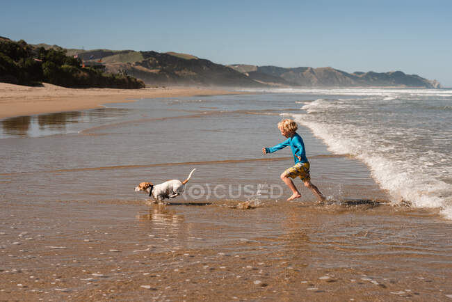 Happy young child playing with small dog at a beach in New Zealand — Stock Photo