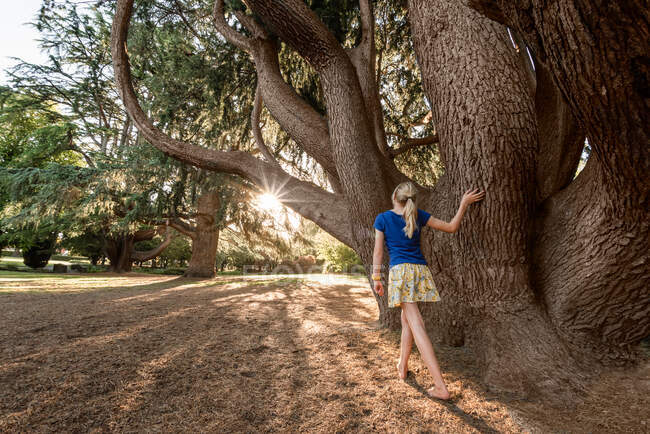 Blonde Haare Mädchen zu Fuß um großen Baum an einem sonnigen Tag — Stockfoto