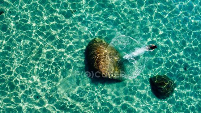 Une fille plonge dans un lac cristallin — Photo de stock
