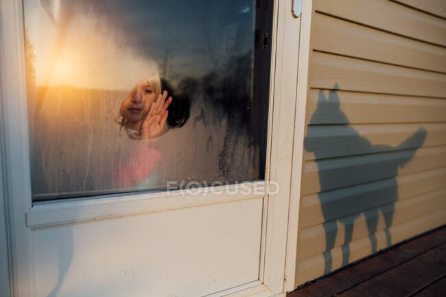 Chica limpiando las heladas de la ventana mientras perro sombra aparece en casa - foto de stock