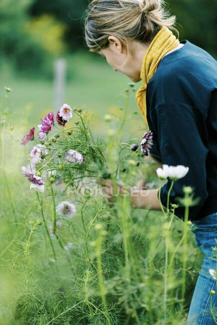 Mulher milenar trabalhando em sua fazenda de flores fazendo buquês — Fotografia de Stock