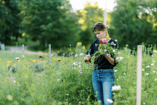 Portrait of a millennial woman working at her flower farm — Stock Photo