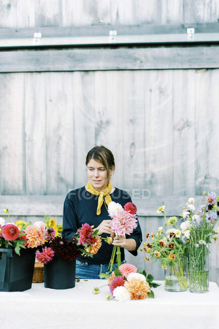 Female business owner and flower farmer arranging dahlia bouquets — Stock Photo
