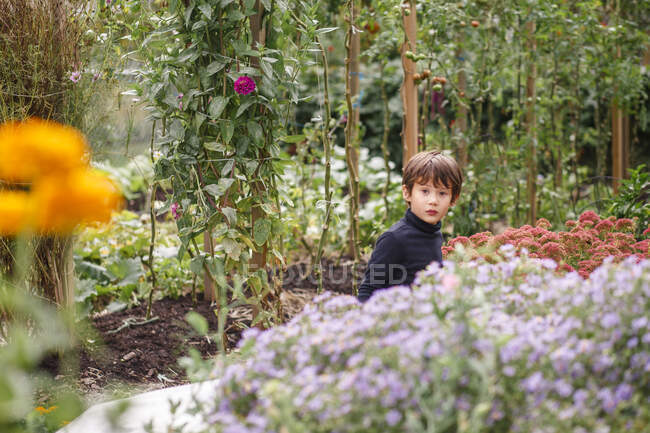 Un piccolo bel ragazzo guarda fuori sopra una fila di fiori in un giardino — Foto stock