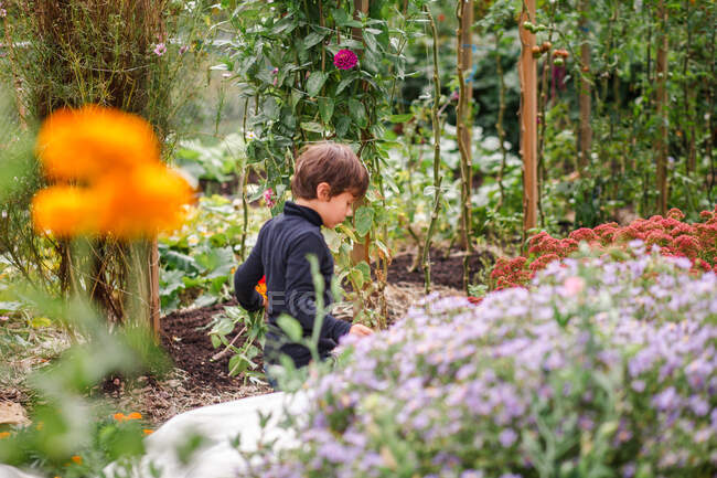 Маленька дитина йде сама крізь заповнену квітами садову доріжку — стокове фото