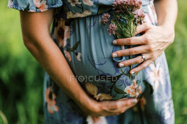 Tiro cortado de mulher grávida segurando flores pela barriga — Fotografia de Stock