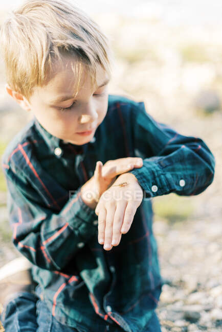 Un niño de cinco años jugando con insectos junto al lago - foto de stock