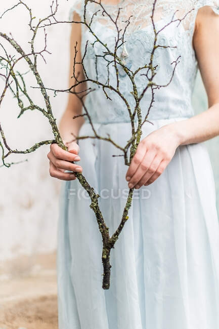 Beautiful young woman with tee branch on her hands — Stock Photo