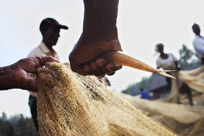 Indian fisherman pull a fish off the fishing net — Stock Photo