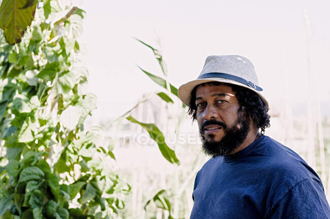 Porträt eines Afroamerikaners mit Hut im Obstgarten — Stockfoto