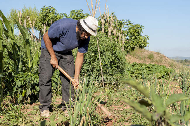 L'uomo colombiano che lavora sul campo, con uno strumento — Foto stock