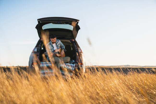 Художник играет на акустической гитаре в пшеничном поле из внедорожника — стоковое фото