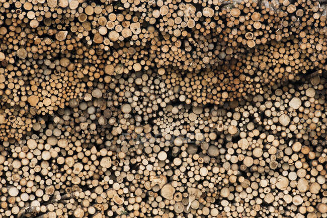 Fotograma completo de pila de madera - foto de stock